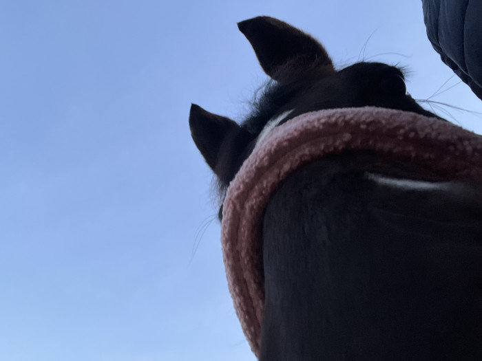 Photo de profil de manon.j