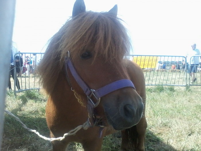 Photo de profil de manon_jackpot