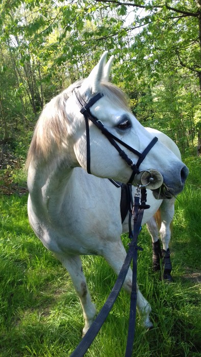 Photo de profil de manonpetit74