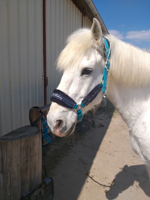 Photo de profil de manou45