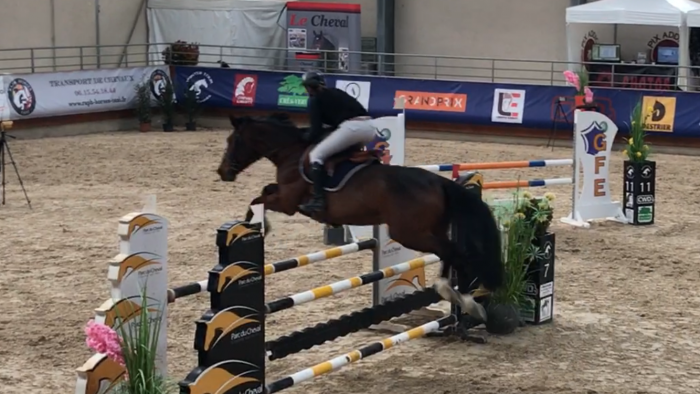 Photo de profil de mapi13