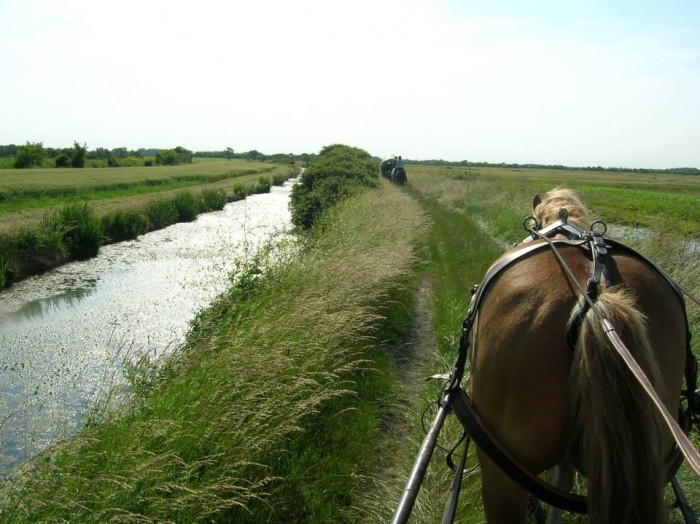 Photo de profil de maraisenselle