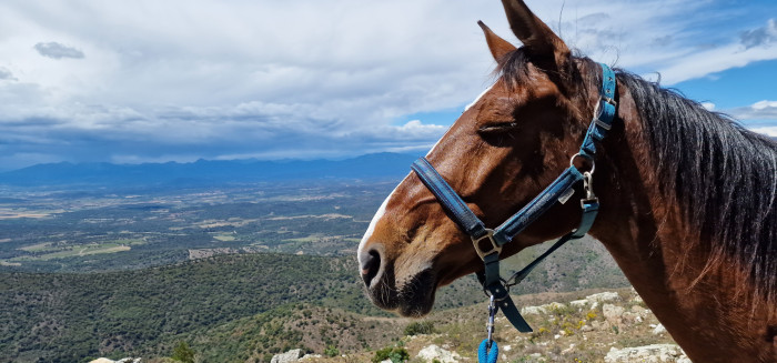 Photo de profil de marc75
