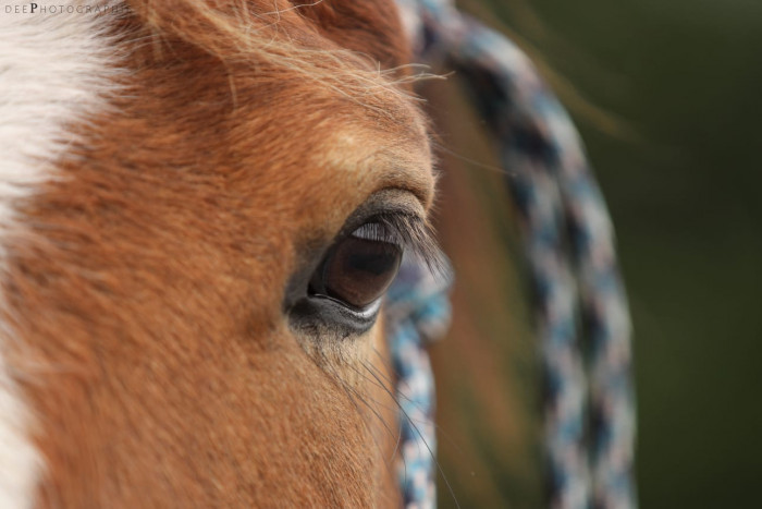 Photo de profil de marg0