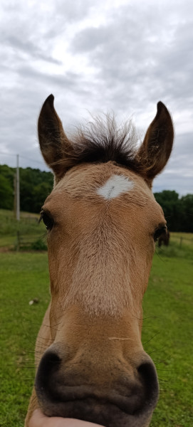 Photo de profil de margaux2607