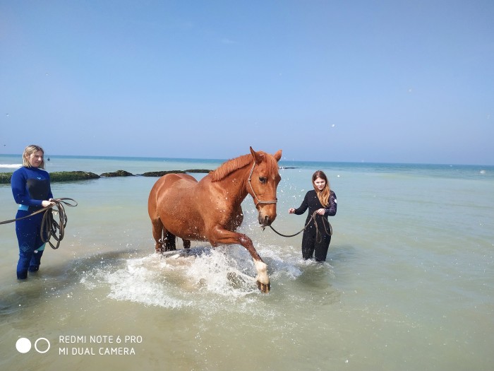 Photo de profil de margaux44