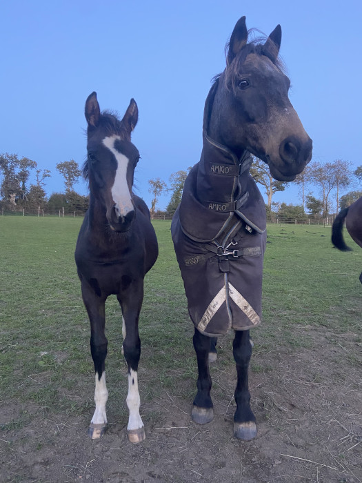 Photo de profil de margaux5252