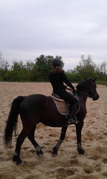 Photo de profil de margcheval33
