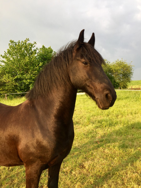 Photo de profil de margotbiguet4