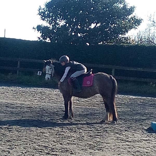 Photo de profil de margotchevaux