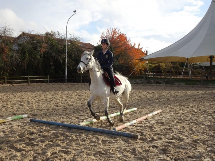 Photo de profil de marianec