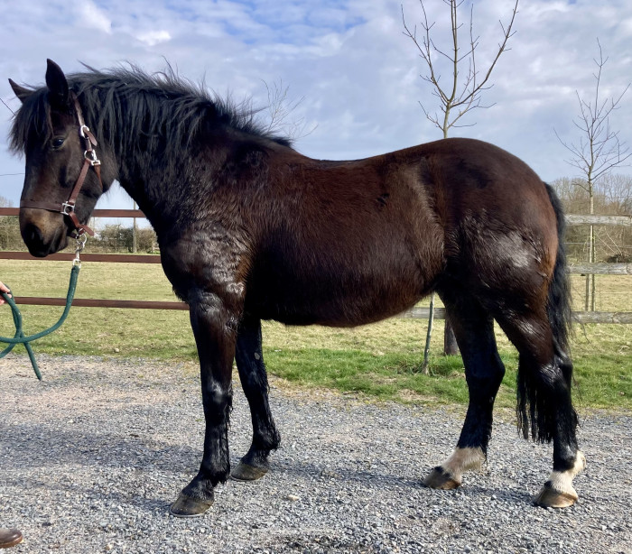 Photo de profil de marie..14