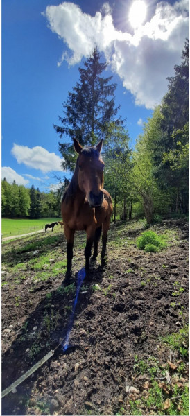 Photo de profil de marie_1517