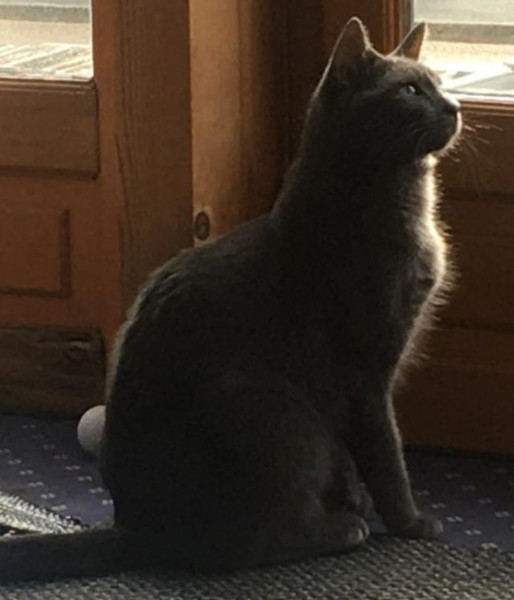 Photo de profil de marie1998