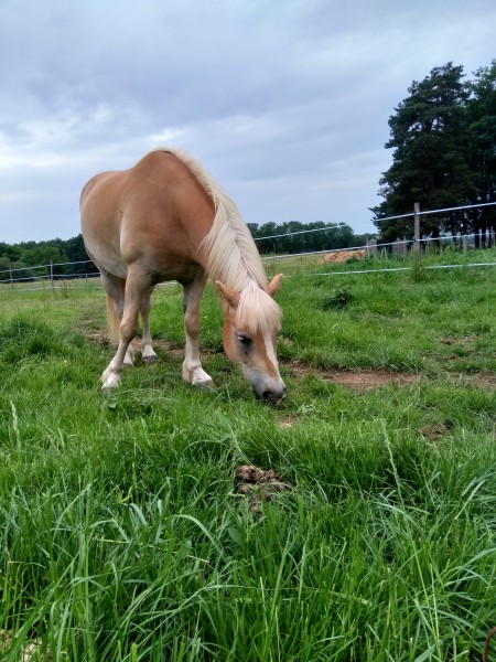 Photo de profil de marie24590