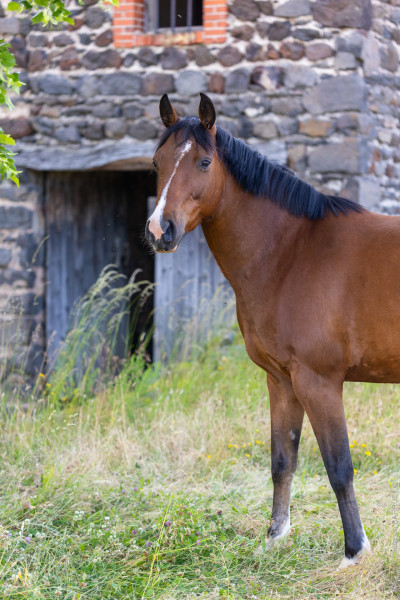 Photo de profil de marie43
