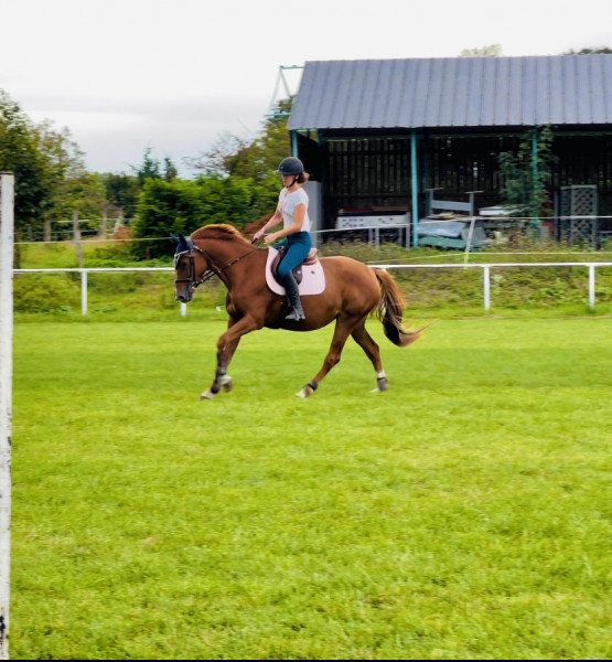 Photo de profil de marieannet