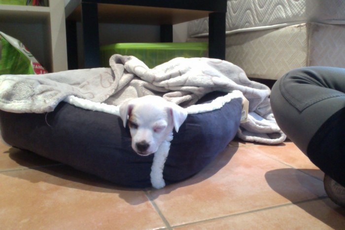 Photo de profil de marie.bochard