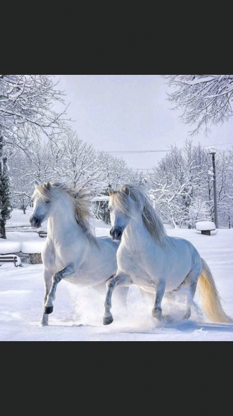 Photo de profil de mariecorse