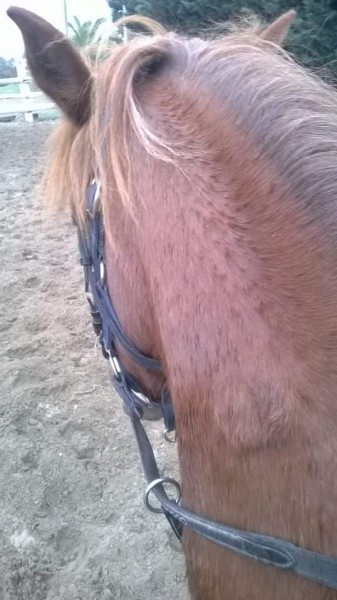 Photo de profil de marie.g.t