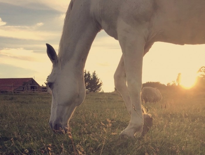 Photo de profil de mari.elle