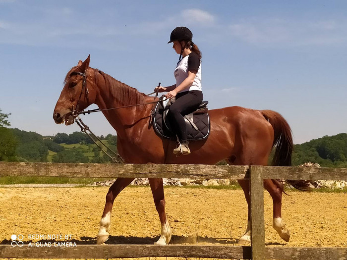 Photo de profil de mariemorgane33