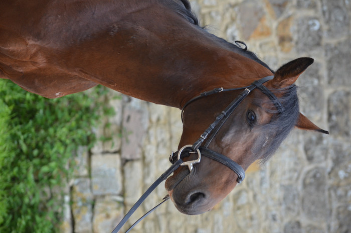 Photo de profil de marieplt