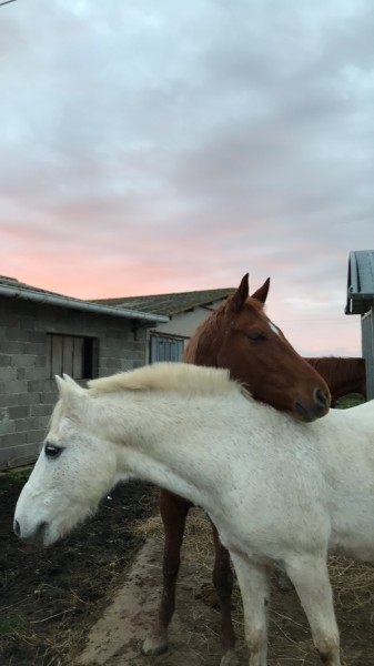 Photo de profil de mariev47