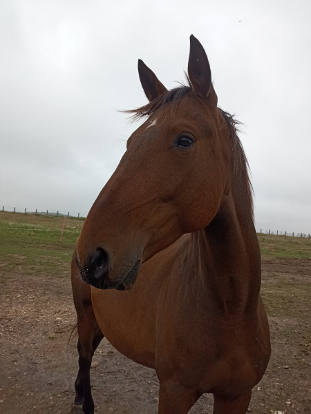 Photo de profil de marine78190
