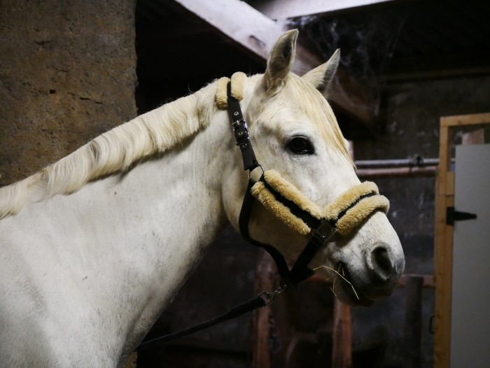 Photo de profil de marine_bre