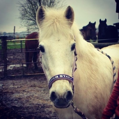 Photo de profil de marine.glat