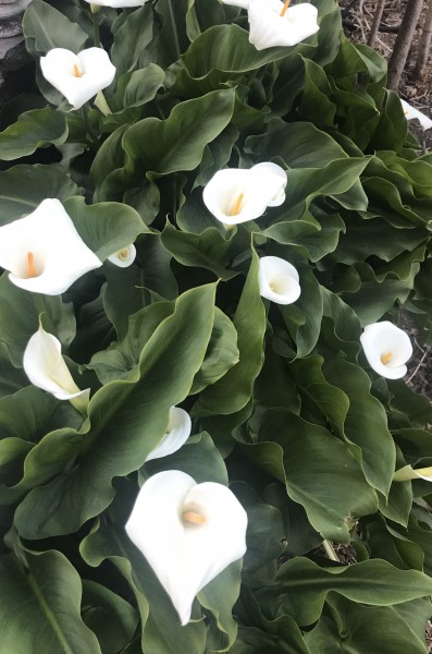 Photo de profil de marine.p66