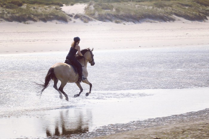 Photo de profil de marinepluche