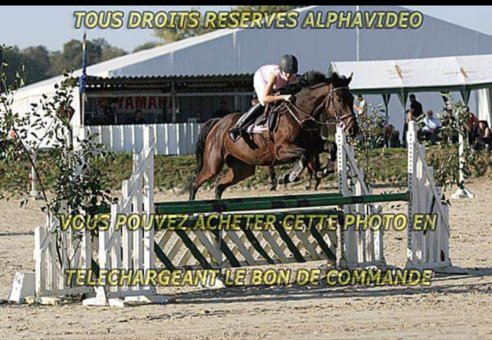 Photo de profil de marinette17400