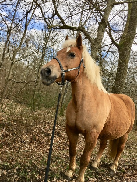 Photo de profil de marinouchka