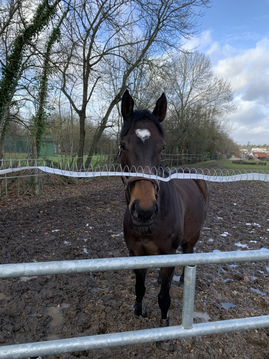 Photo de profil de marion2188