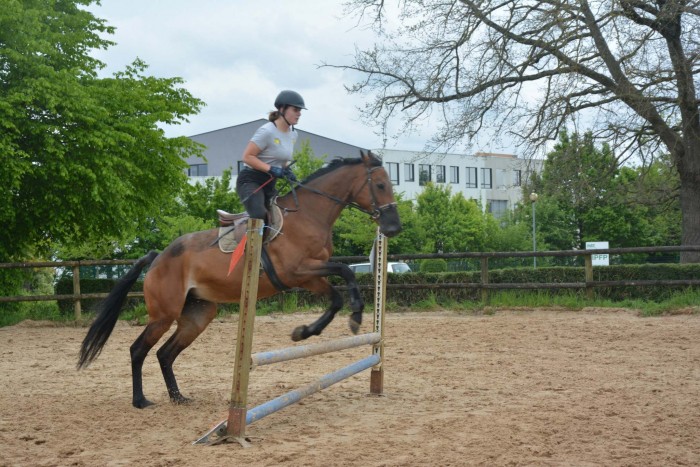 Photo de profil de marion270401