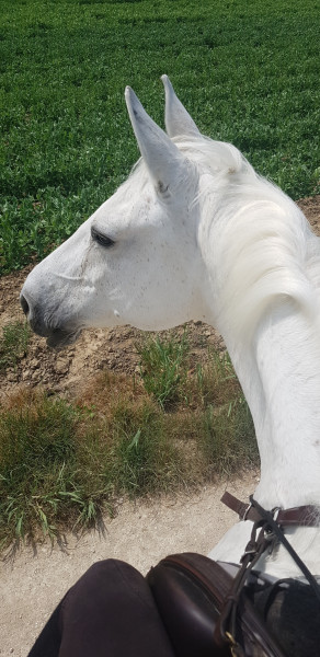 Photo de profil de marionbld8