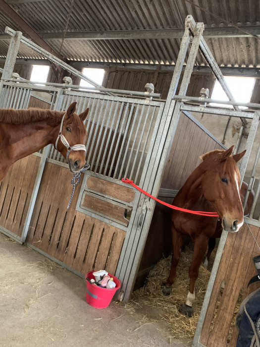 Photo de profil de marion_cts