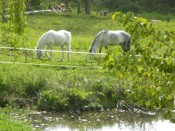 Photo de profil de marion_d