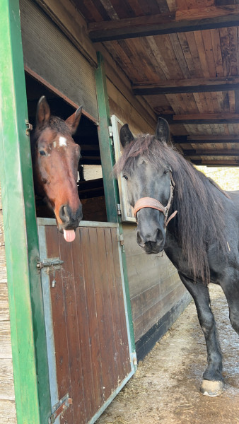 Photo de profil de mariondu06