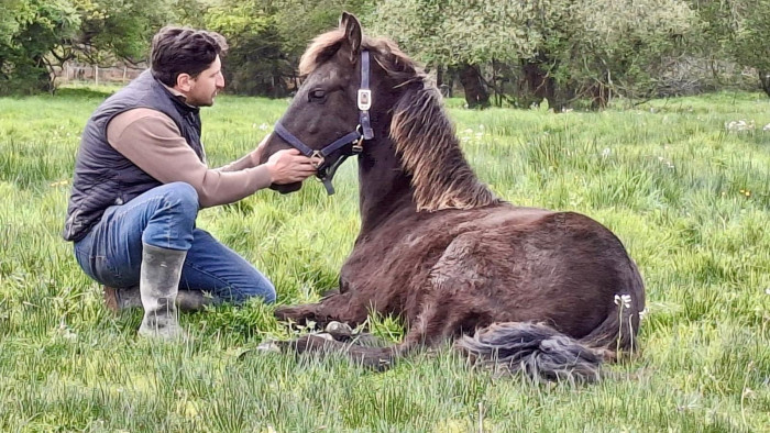 Photo de profil de mariusseth