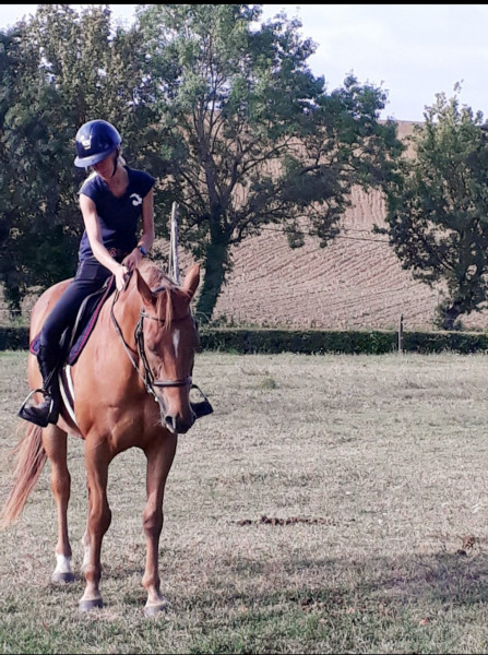 Photo de profil de marlenesenat