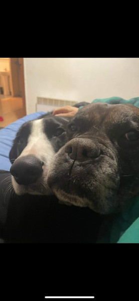 Photo de profil de marleyluna35