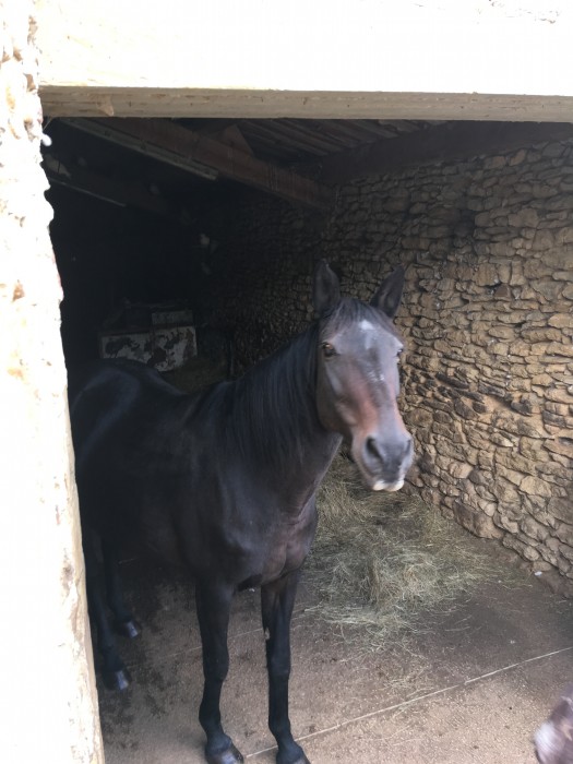 Photo de profil de marti30