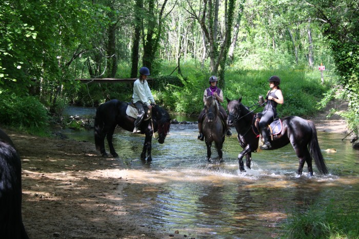 Photo de profil de martine24