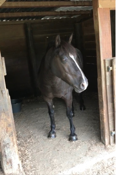 Photo de profil de martine54