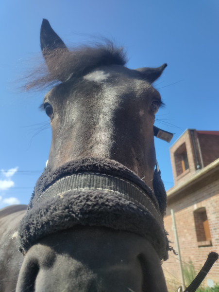 Photo de profil de maryeganz2015