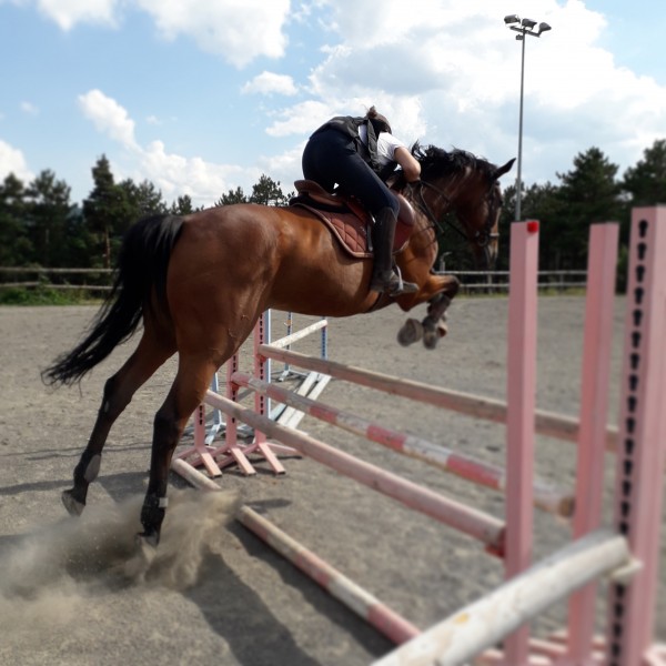 Photo de profil de marylou_du_48