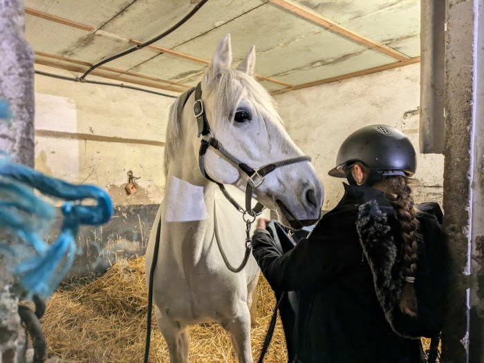 Photo de profil de maryrun_bx33